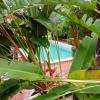 saku boutique homestay