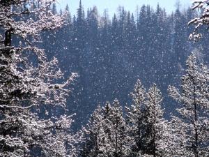 hotel miramonti corvara