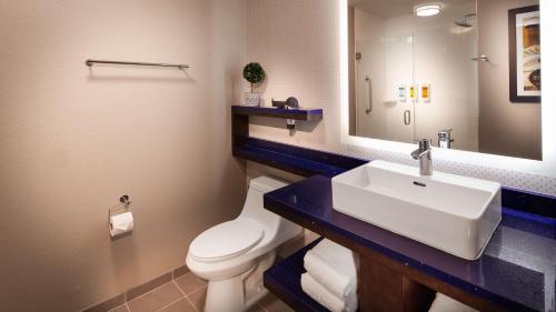 glo best western asheville tunnel road