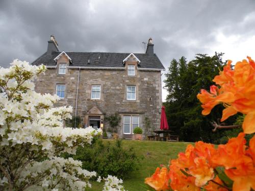 thistle house guest house