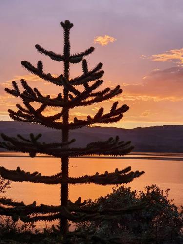 thistle house guest house