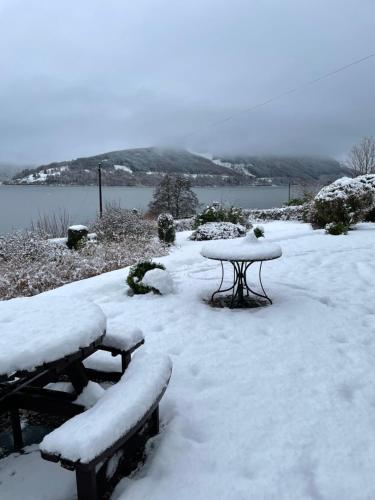 thistle house guest house