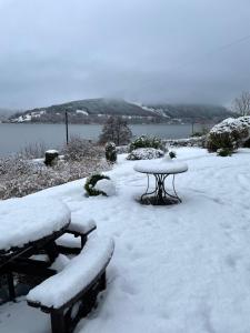 thistle house guest house