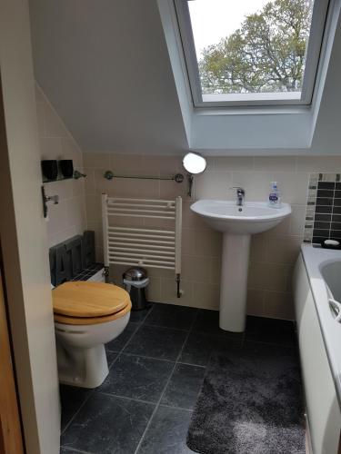 bodmin