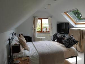 bodmin