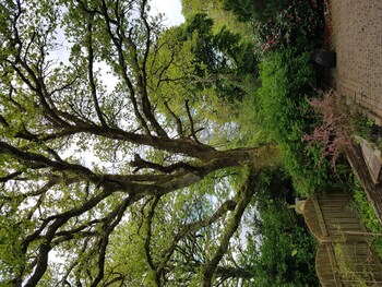 bodmin