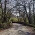bodmin