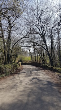 bodmin