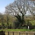 bodmin