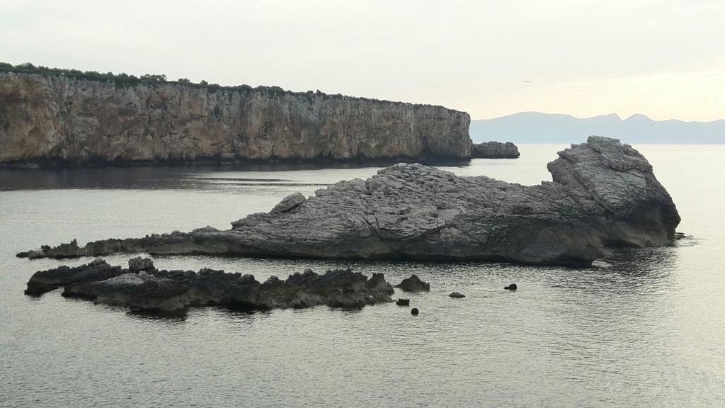 terrasini
