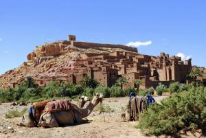 riad chay and boutique