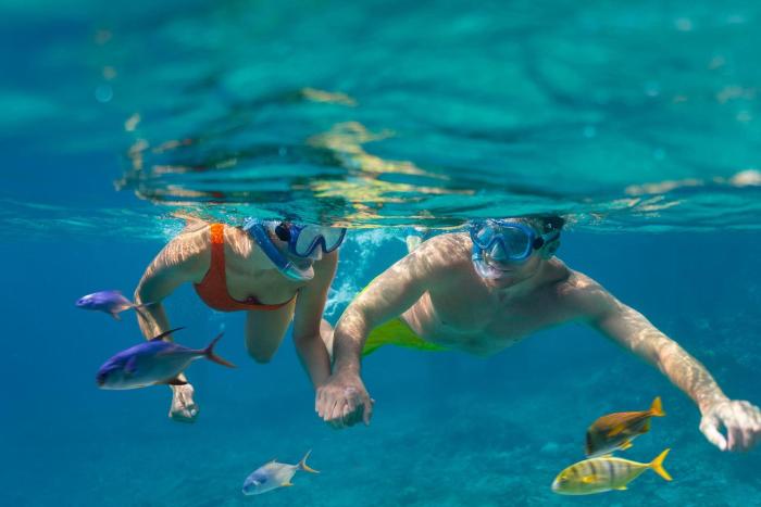 cozumel palace all inclusive