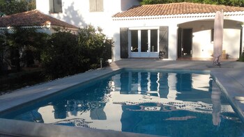 la lavande bleue
