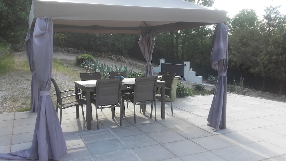 la lavande bleue
