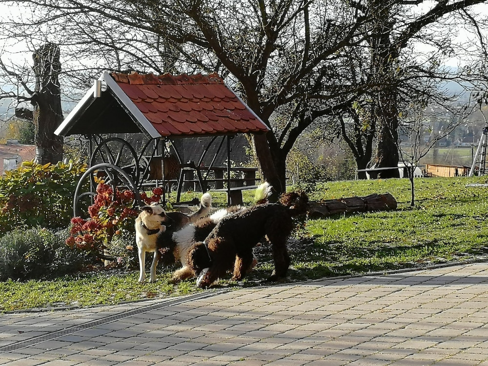 ptuj