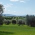 magliano in toscana