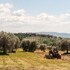 magliano in toscana