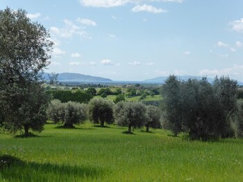 magliano in toscana