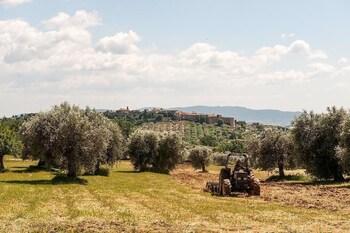 magliano in toscana