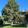 magliano in toscana