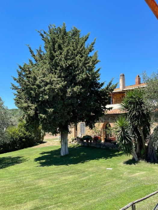 magliano in toscana