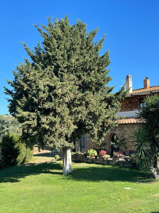 magliano in toscana