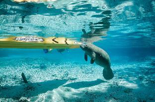 holiday inn express crystal river by ihg