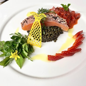 burghaus and villa kronenburg