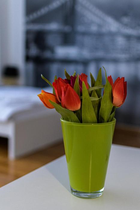 stars of zagreb apartments