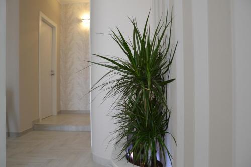 bandb terra doriente