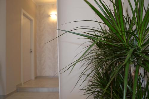bandb terra doriente