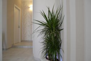 bandb terra doriente