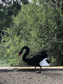 moulin de la chevriere