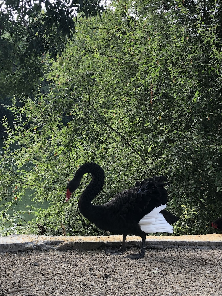 moulin de la chevriere
