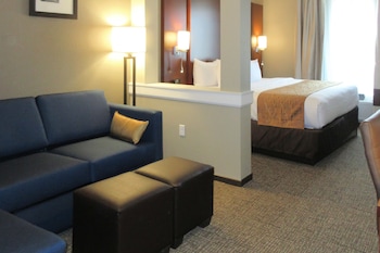 comfort inn and suites boise airport