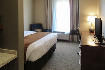 comfort inn and suites boise airport