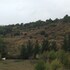 bembibre
