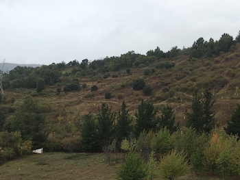 bembibre