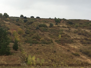bembibre