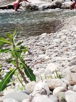 bandb milano malpensa 1