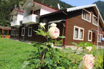 uzungol