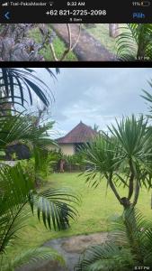 the seaman garden huts
