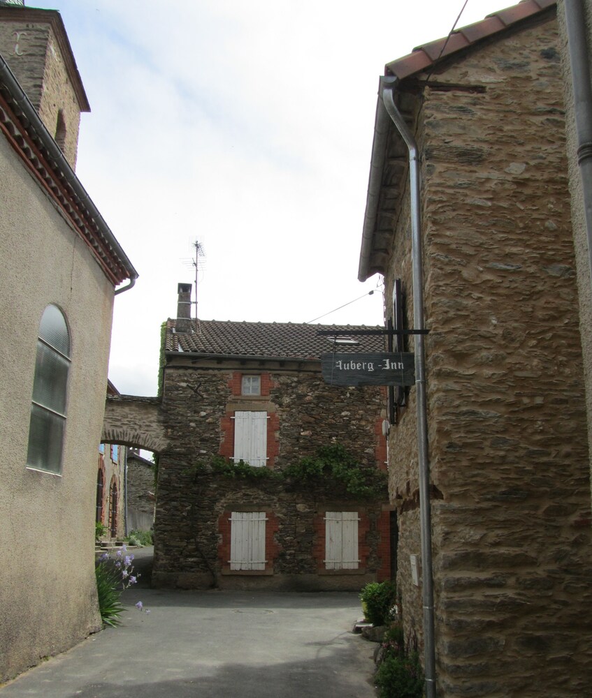 auberginn