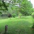 ambialet