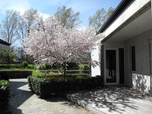 seatonwood villas