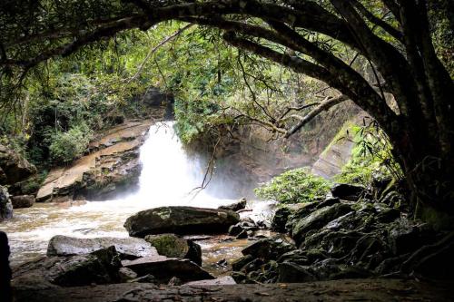 maewin guest house and resort