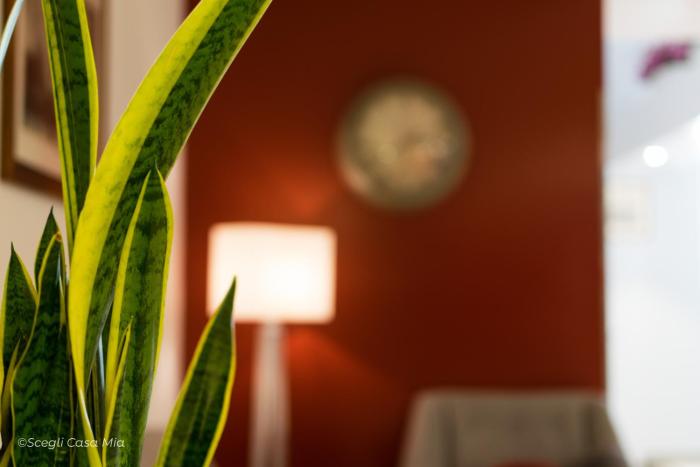 ottocento guest house