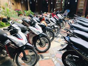 green hill hostel and homestay