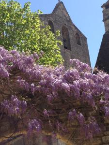 L'esplanade,Castelnaud-La-Chapelle>>Brive-La-Gaillarde,3 star