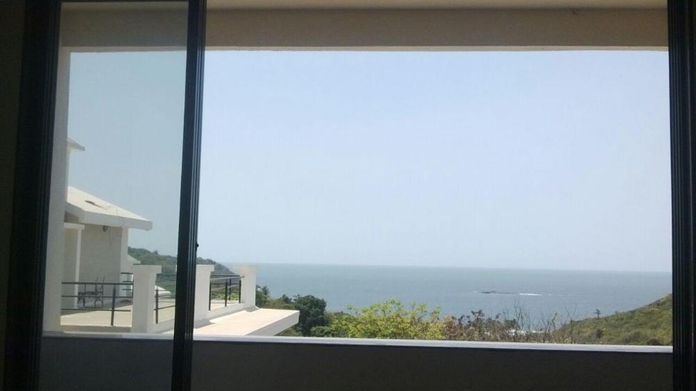 the blue view by timber